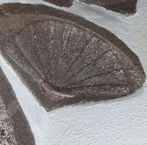 Centre Historique 게스트하우스